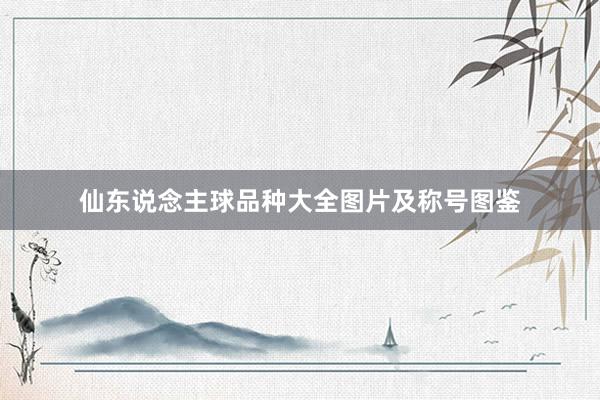 仙东说念主球品种大全图片及称号图鉴